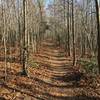 The Saint Mary's Lake Loop Trail offers visitors the serenity only an autumnal forest can provide.