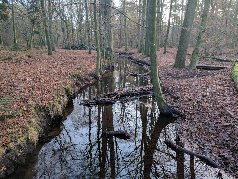 Hierdensebeek stream.