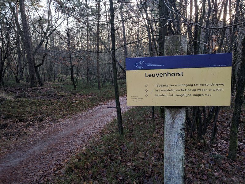 At a visible change in the forest. | Een zichtbaar overgang in het bos.