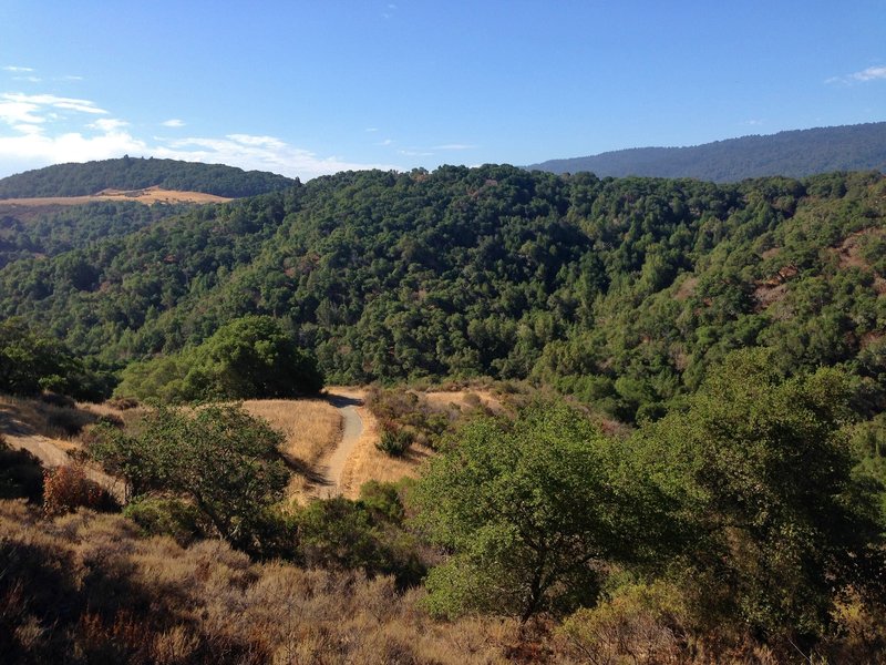 Pulgas Ridge Open Space views.