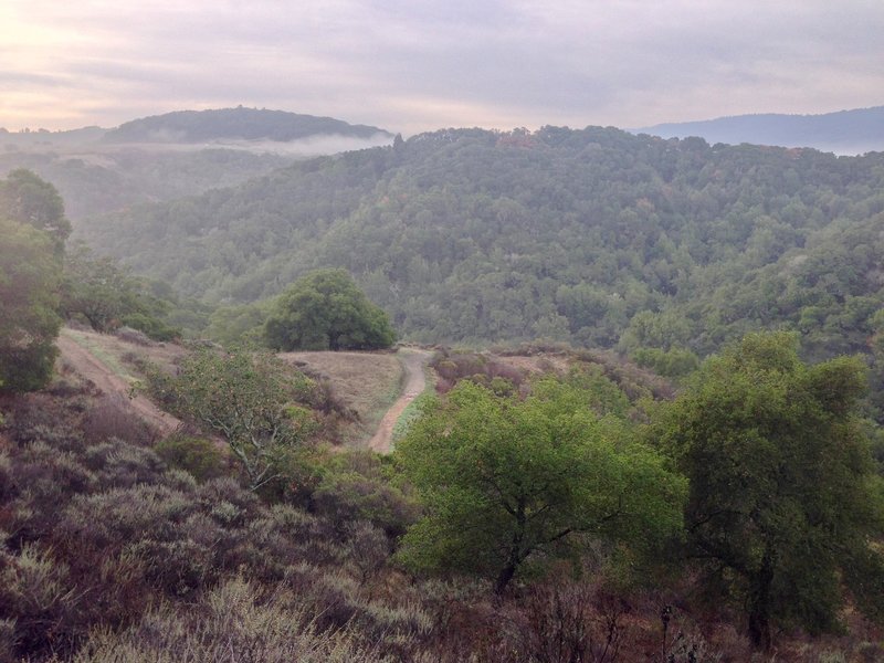 A view from the Dick Bishop Trail in the Pulgas Ridge Open Space Preserve.