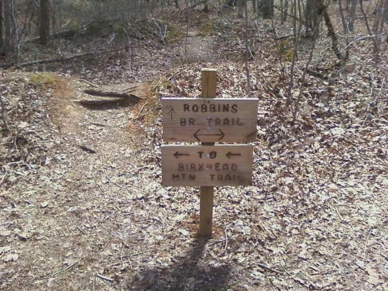 Trail markers appear after a field near some campsites. Keep heading straight to hit the Robbins Branch Trail.