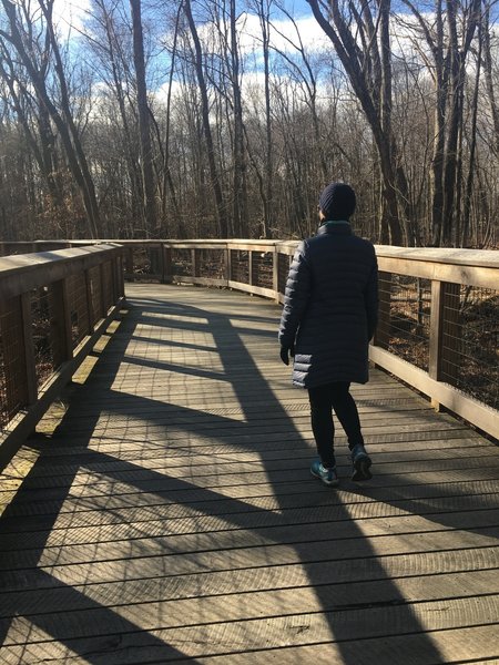 Sturdy bridges span wetland sections of the trail, keeping feet dry in wet conditions.