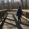 Sturdy bridges span wetland sections of the trail, keeping feet dry in wet conditions.