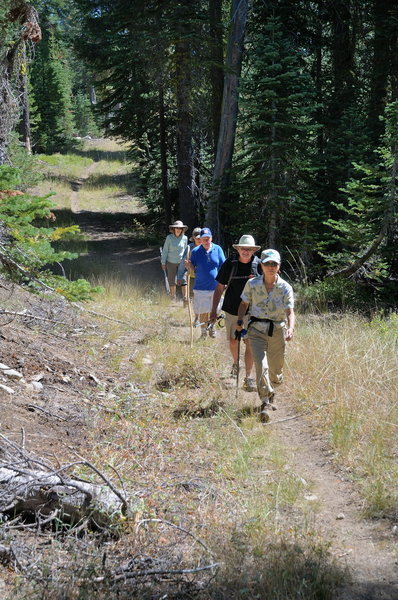 Our group hikes along Claim Jumper Trail in the Royal Gorge area of Donner Summit.