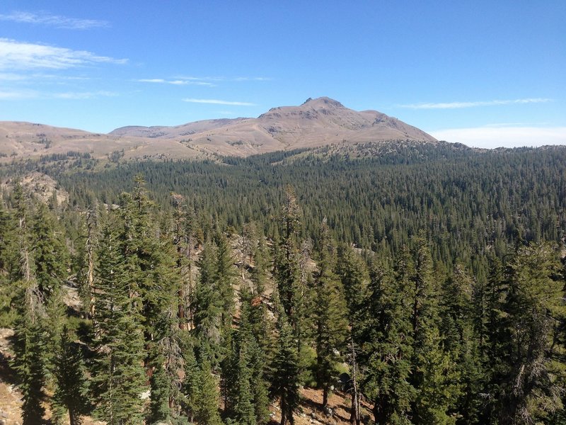 The pine forests flow across the landscape on the way to Round Top Lake.