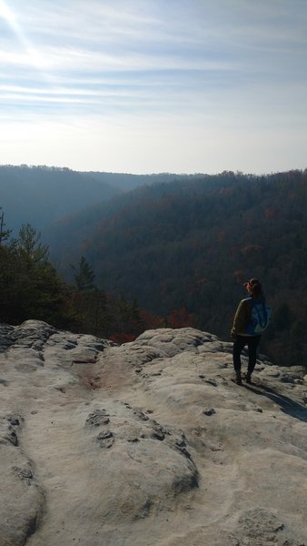 A hiker gazes out onto the gorge from the overlook along the Grand Gap Loop Trail.