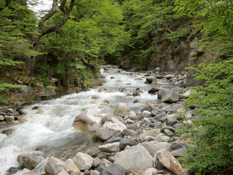 Dense forest hugs the Rio Ascencio as you climb to the Torres.