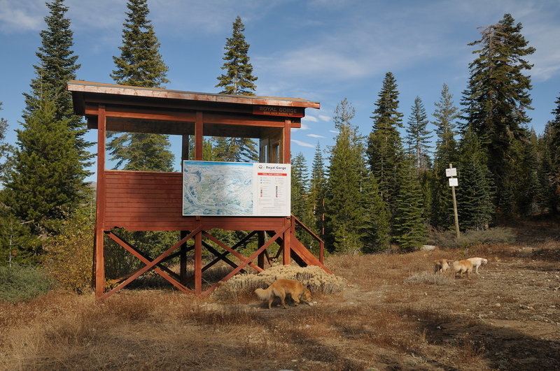 Bogus Basin ski warming hut makes for a fun landmark along the Bogus Basin Trail in Royal Gorge.