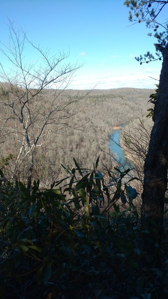 View of the Big South Fork river gorge from the Sunset overlook.