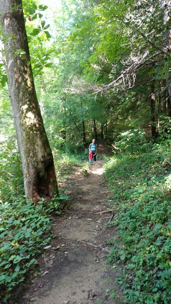 Hiking the Leatherwood loop on the Sheltowee Trace and John Muir trails along the Big South Fork river before starting the climb back up to the Trailhead parking lot.