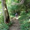 Hiking the Leatherwood loop on the Sheltowee Trace and John Muir trails along the Big South Fork river before starting the climb back up to the Trailhead parking lot.