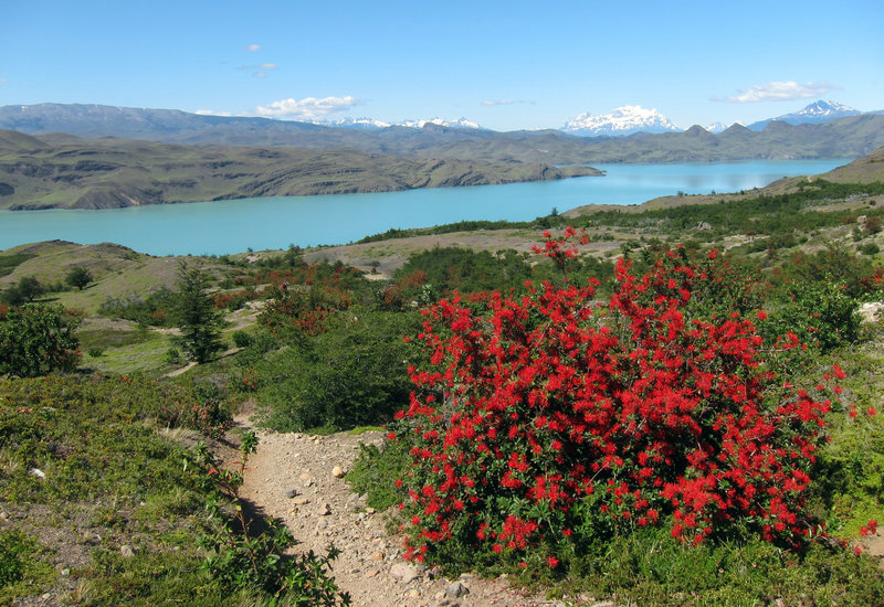 Lago Nordenskjöld in Torres del Paine National Park.