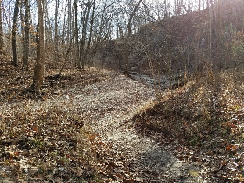 The creek crossings in the Three Creeks Conservation Area are often dry.