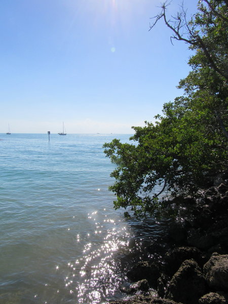 Great views of Stiltsville and Biscayne Bays await travellers of the Robin's Birding Trail.