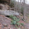 Serpent Rock (spot the "forked" tongue) lives on the trail right behind Double Arch.