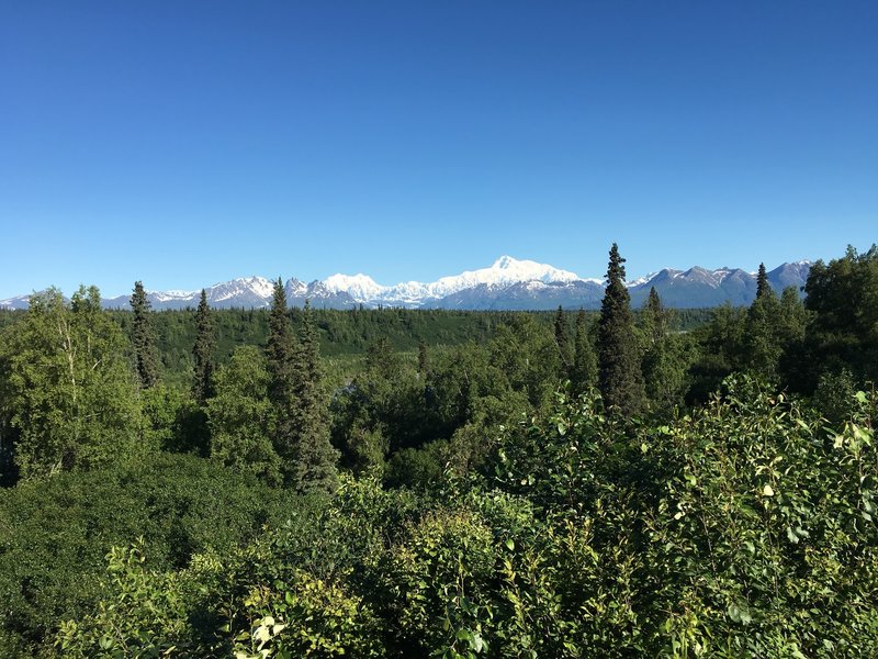 Numerous peaks dot the skyline in Denali National Park & Preserve.