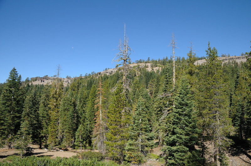 Palisade Peak pokes through the trees when seen from the Castle Pass Trail in Royal Gorge.