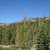 Palisade Peak pokes through the trees when seen from the Castle Pass Trail in Royal Gorge.