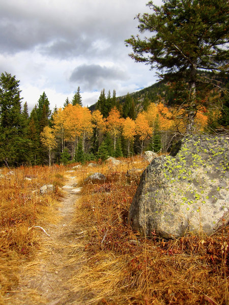 Fall colors erupt on the Lake Fork Trail.