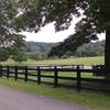 This is a photo of what you'll see when you follow the road along a farm. This is from the Rhododendron Trail - Extended.