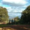 The Mine Hill Trail offers occasional glimpses of the San Francisco East Bay.