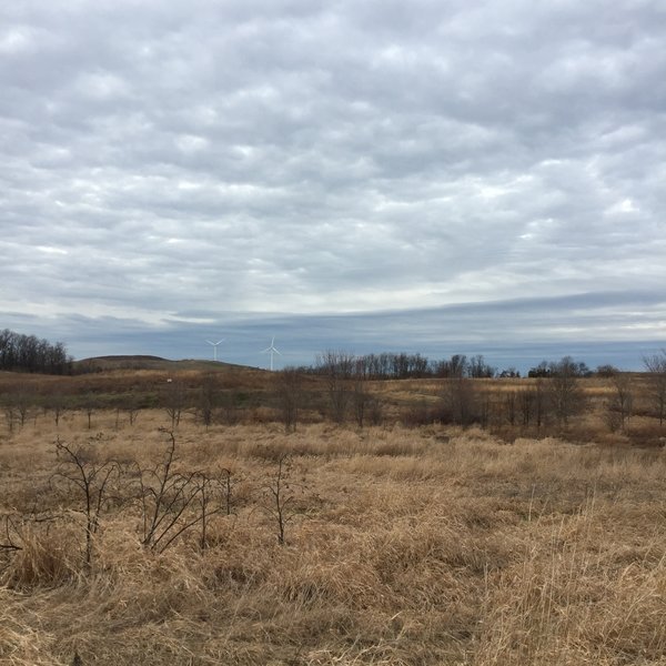 The Turkey Hill Trail begins and ends in a Chestnut Grove meadow.