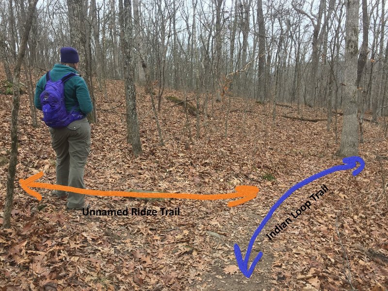 This is a location of confusion for falling off the loop trail. The more beaten trail makes a hard turn and ascends the ridge. This will make it back and offers many views from above. The loop trail stays below the bluff.