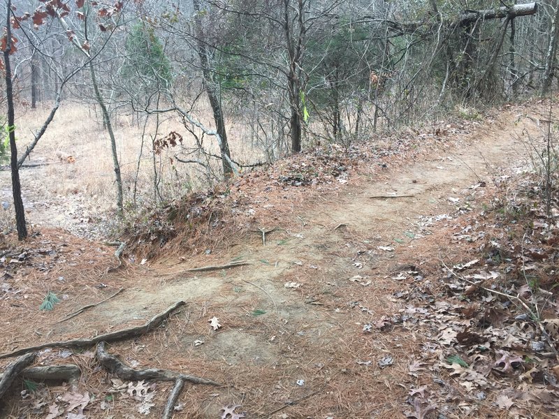 This is the turnoff to do the Indian Point Loop Trail in a clockwise fashion, opposite of the direction of the mapped route. Some yellow flagging tape marks it just beyond the lake and a short distance from the parking lot.