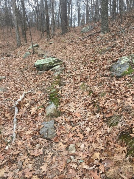 In the wintertime, the trail is often soft and leafy. Most of the trail is very gently graded with only a few places with more aggressive elevation change.