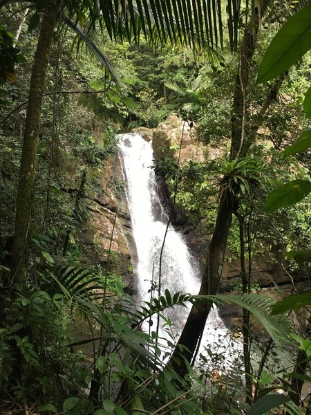 La Mina Falls can be quite gorgeous when the flow is strong.