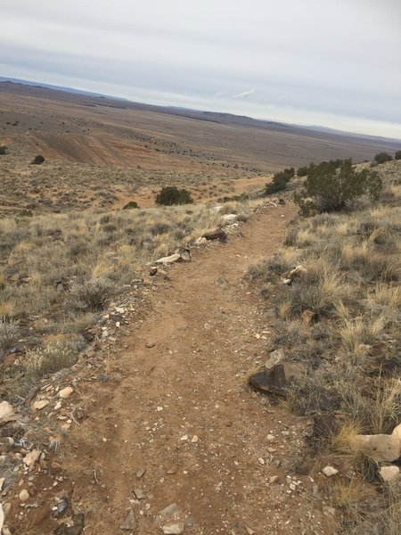 The trail is smooth-treaded near the overlook on the Overlook Trail.