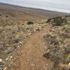 The trail is smooth-treaded near the overlook on the Overlook Trail.