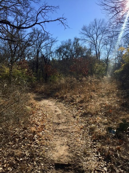 The Oak Motte Trail travels through peaceful forests and scenic meadows.