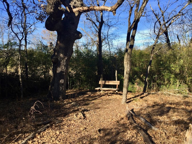 One of many park benches along the way makes for a great spot to rest and enjoy the peace and quiet.