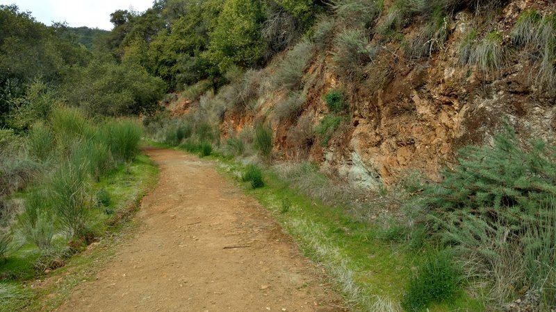 The tread is quite smooth going to the site of the old English Camp on the English Camp Trail.