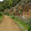The tread is quite smooth going to the site of the old English Camp on the English Camp Trail.