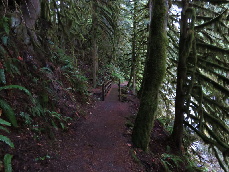 The Old Salmon River Trail #742A hosts several bridges over tributaries and a few rock-hopping crossings. Photo by Yunkette.