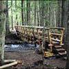 A sturdy bridge makes this stream crossing easy on the Ramona Falls Loop, PCT section. Photo by Ethan Douglass.