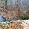 The Rhodo Spur Viewpoint offers a great look at the forested creek below.