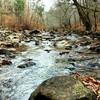 New Hope Creek gurgles with abundant flowing water during the wintertime.