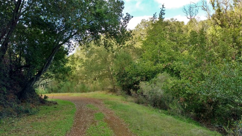 The start of April Trail marks a pleasant beginning on any adventure to explore old mining sites.