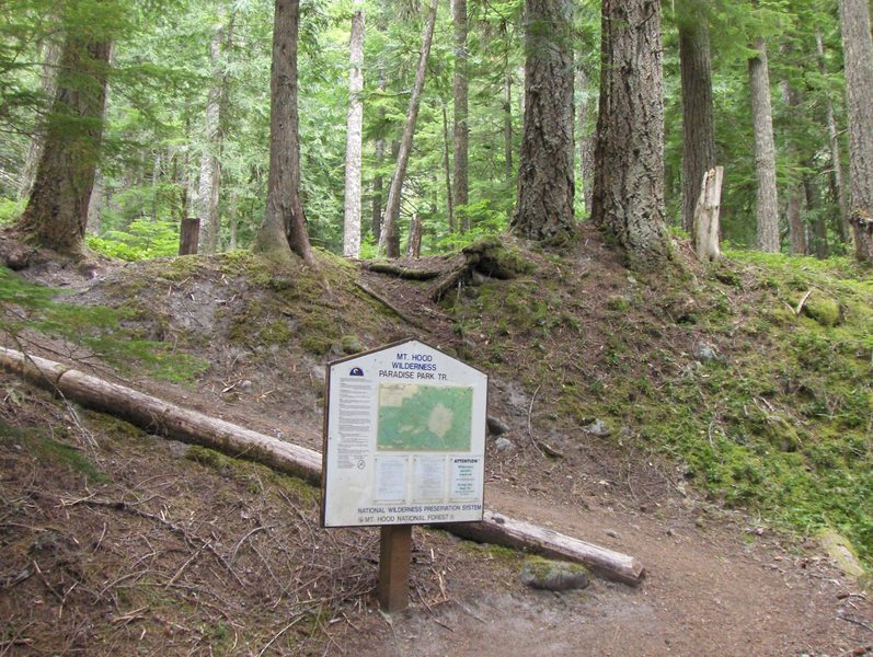 A sign marks the trailhead on the Paradise Park Trail. Photo by USFS.