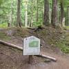 A sign marks the trailhead on the Paradise Park Trail. Photo by USFS.