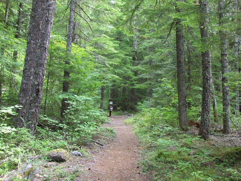 Fill out a wilderness permit. Paradise Park Trail is a long slog with few vistas until you reach the PCT and then it's wowza!