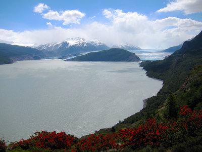 Glaciar Grey ends into Lago Grey in Parque Nacional Torres del Paine.