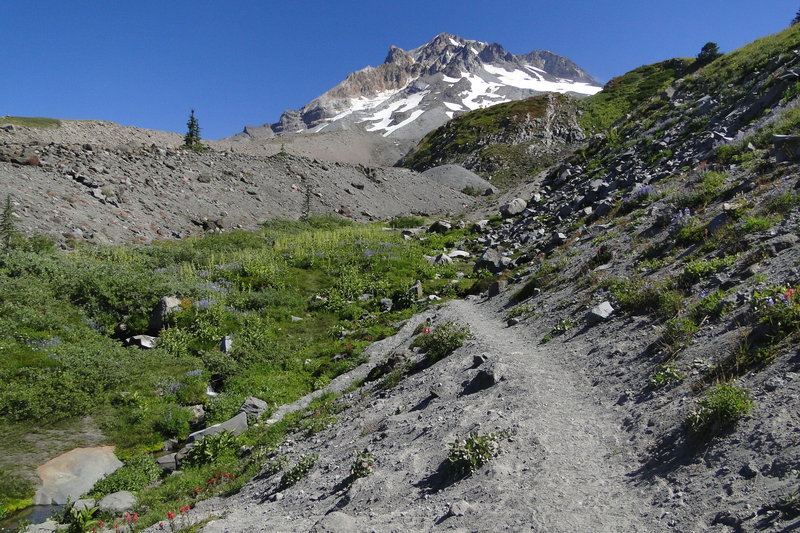 Shoot for a bluebird day for your hike on the Paradise Park Loop Trail, as it is a long way to go with limited views on a cloudy day. Photo by Guy Meacham.