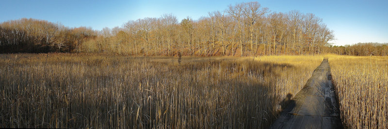 The Blue Trail boardwalk in Cheesequake Park offers a different experience in winter.