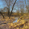 The Red Trail passes through a swamp in Cheesequake Park.