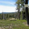 The view west from Killy's Cruise Trail in Royal Gorge is wooded and beautiful.